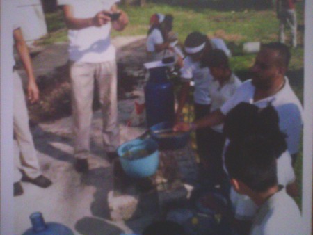cosechando zanahoria